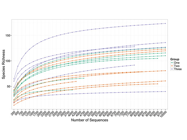 Rarefaction plot illustrating the accumulation and saturation of species richness with increased sampling effort per sample.